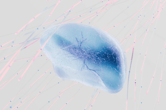 Versterken van het immuunsysteem: NAD+ heeft een belangrijke rol in het beschermen tegen vrije radicalen. Deze vrije radicalen zorgen voor veroudering, schade en kunnen op termijn leiden tot ziekte. NAD+ infusen kunnen een een gunstige invloed hebben op vermindering van ontstekingen, verlichting van auto-immuun ziekten & vermindering van de vatbaarheid voor (chronische) aandoeningen en ziekten in het algemeen.